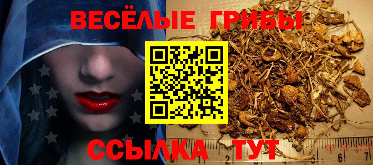Псилоцибиновые грибы MAGIC MUSHROOMS Борисоглебск