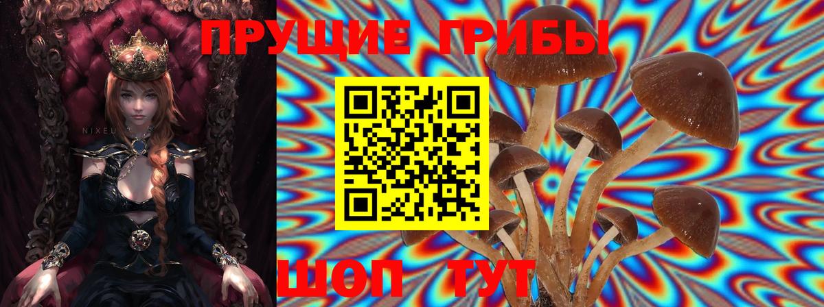 Борисоглебск  наркотики  Вход с VPN  Псилоцибиновые грибы мицелий 